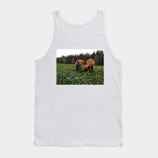 Scottish Highland Cattle Cow and Calf 2009 Tank Top